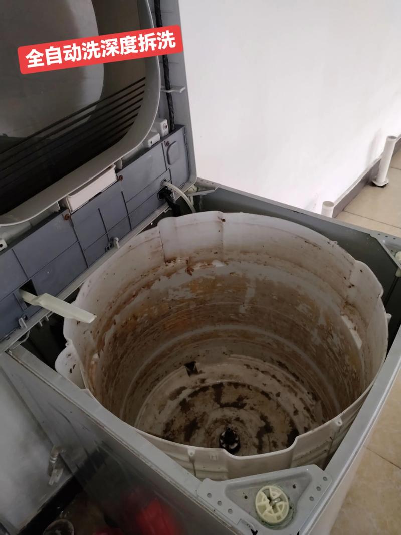 龙湾区永中街道全自动洗衣机深度拆洗与家电维修服务指南